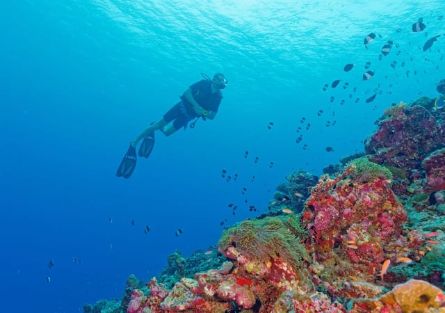 Park Hyatt Maldives Hadahaa Park Hyatt Maldives Hadahaa