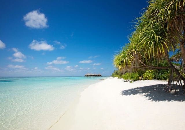 LUX* South Ari Atoll LUX* South Ari Atoll