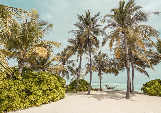 Club Med Finolhu Villas Club Med Finolhu Villas