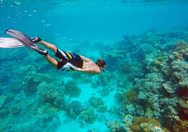 Bibee Maldives Bibee Maldives