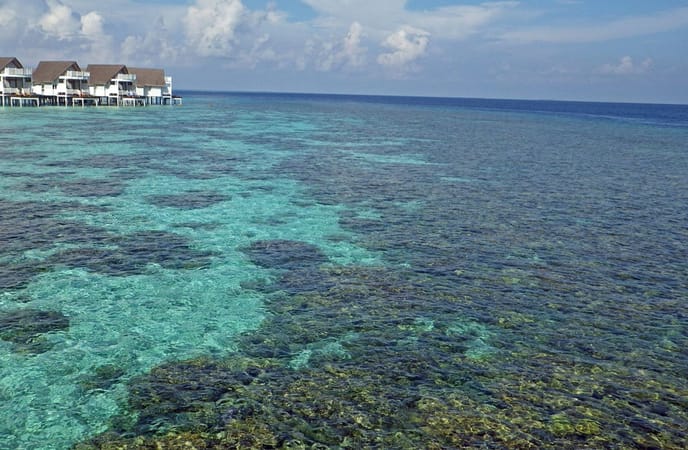 Maldives to Start the Tourism Golden Jubilee Celebration Maldives to Start the Tourism Golden Jubilee Celebration