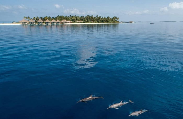 InterContinental Maldives Maamunagau Resort InterContinental Maldives Maamunagau Resort