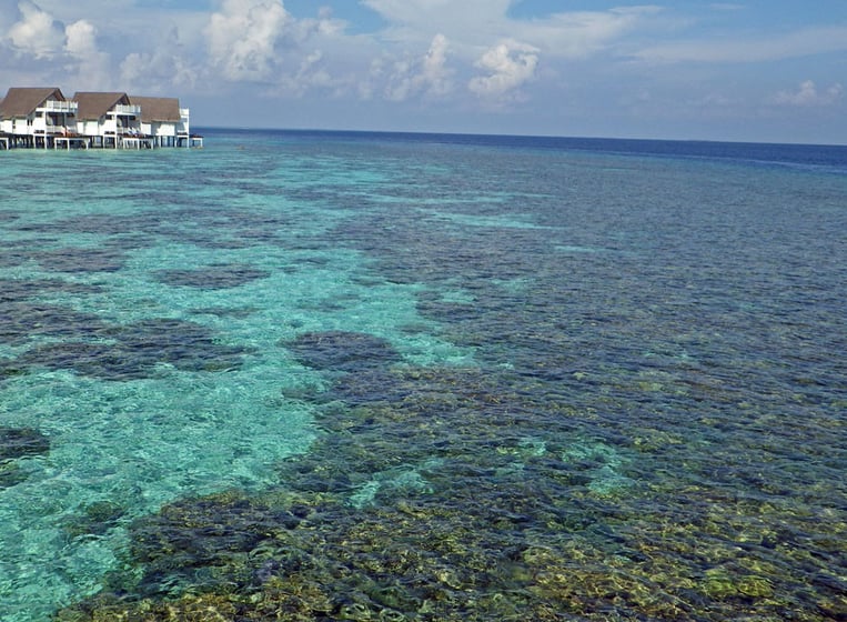 Foto von Malediven vor Beginn der Feierlichkeiten zum Goldenen Jubiläum des Tourismus