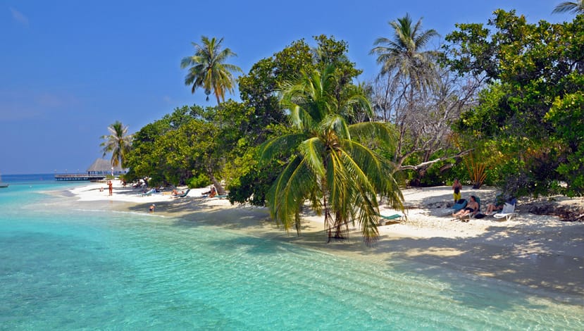 Le Maldive si Aspettano il Record di Più Alto Numero di Arrivi di Turisti nel 2019 Le Maldive si Aspettano il Record di Più Alto Numero di Arrivi di Turisti nel 2019