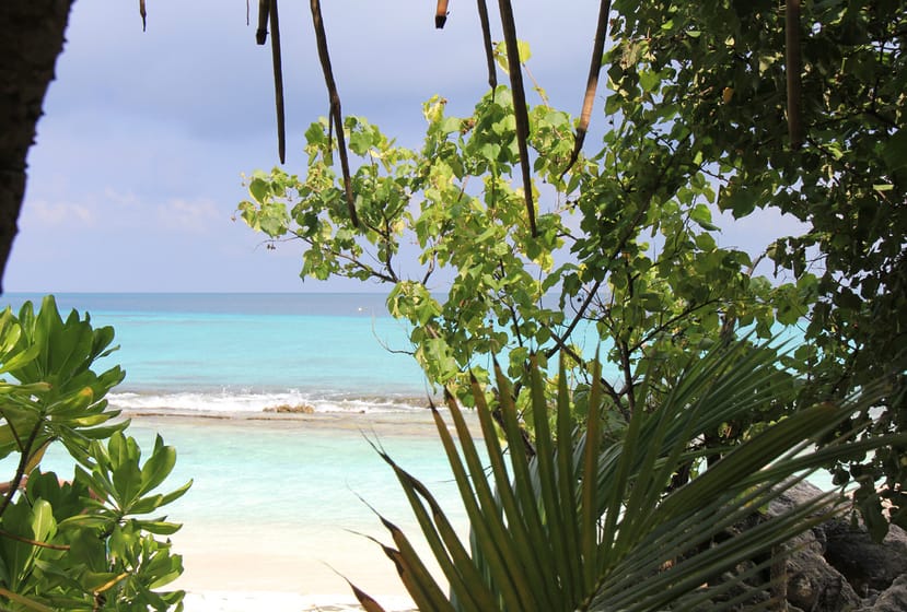 Foto di La domanda sale alle stelle per le pensioni delle Maldive