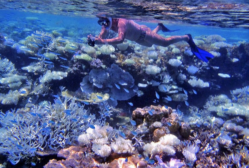 Foto di Tour delle Maldive: Scegli le Migliori Escursioni per lo Snorkeling